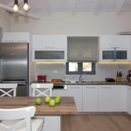 Elsa By Elrin Mani *