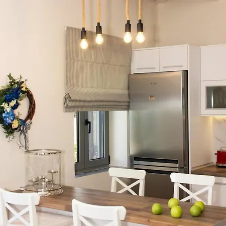 Elsa By Elrin Mani *