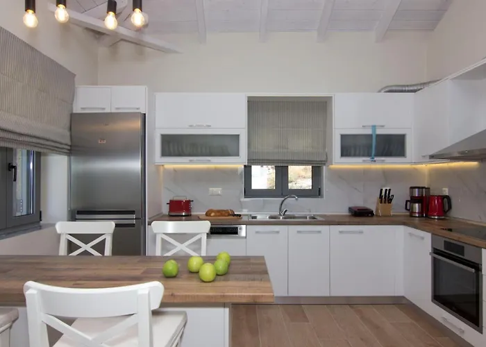 Elsa By Elrin Mani *