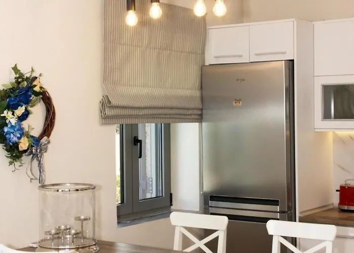 Elsa By Elrin Mani *